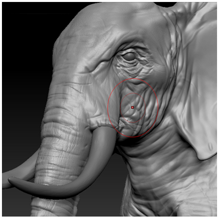 Software 3D Organico Software 3D Organico