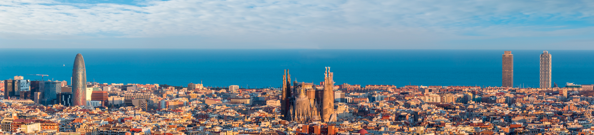 background Profimatica